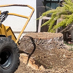 Stump grinding in Yorba Linda, CA
