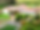 Screenshot_2025-05-09_121736.png