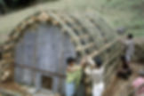 87.jpg