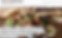 Screenshot 2026-01-12 at 4.01.20 pm.png