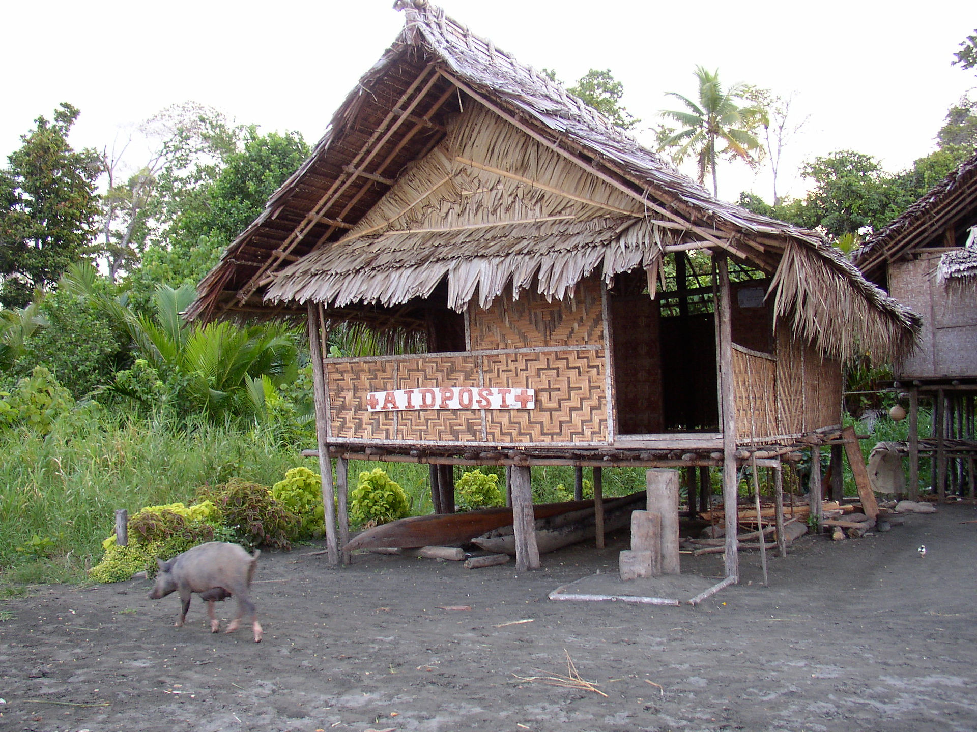 Nirmala Travel PNG