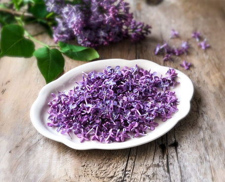 Fragrant Lilac Sugar in - Vasanta Ritu