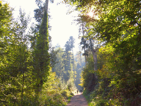 מהיכן מתחילים?