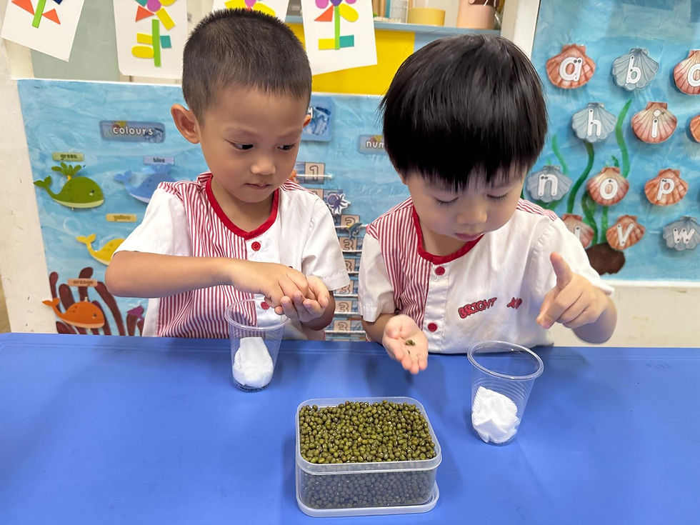 Growing with Bright Kids 175D: Nursery 1 Children Explore Planting