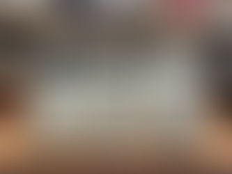 羽毛3種を比較してみました!