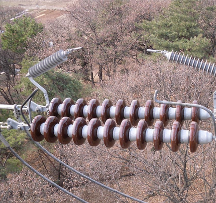EGLA Externally Gapped Line Arresters