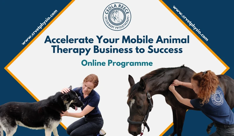 Animal therapy business accelerator course - cover photo