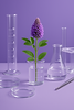 ChatGPT Image 14 avr. 2025, 14_19_10.png