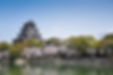Hiroshima castle on the side of Otagawa river in spring.jpg