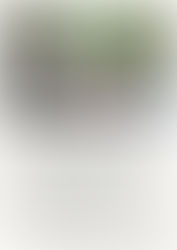 県の獣害フォーラム　11月11日午後