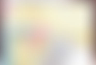 憲章(草案)に関する参加者の声