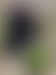 活動報告　2021/01/31