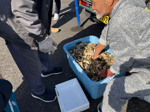 安楽島朝市 in 上ノ村　2026/03/01