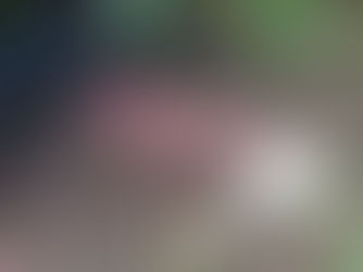 サツマイモ収穫体験　随時受付中
