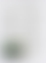通信　150号(2021/12/26)
