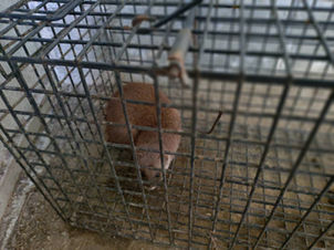 犯人逮捕　2026/03/07