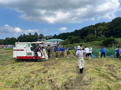 〔橋北田〕稲刈り 2024/09/05-06