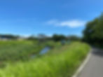 IMG_9259.jpeg