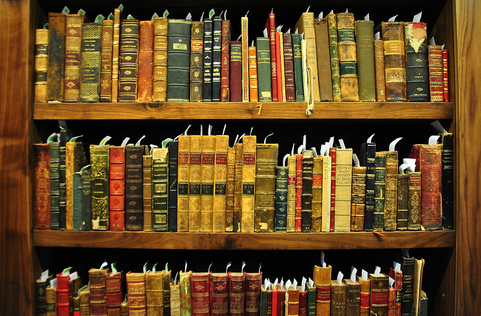 la biblioteca più bella di roma - Ricer