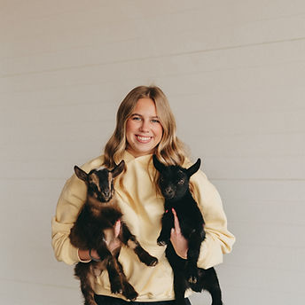Little Hooves & Local Goods Baby Goats.JPG