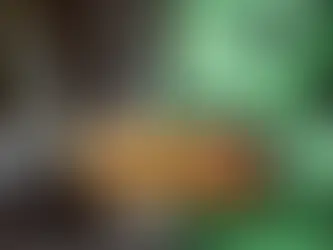 8 Ways Ready Made Meals Delivered Can Simplify Your Life