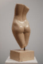 corps, torse Envole