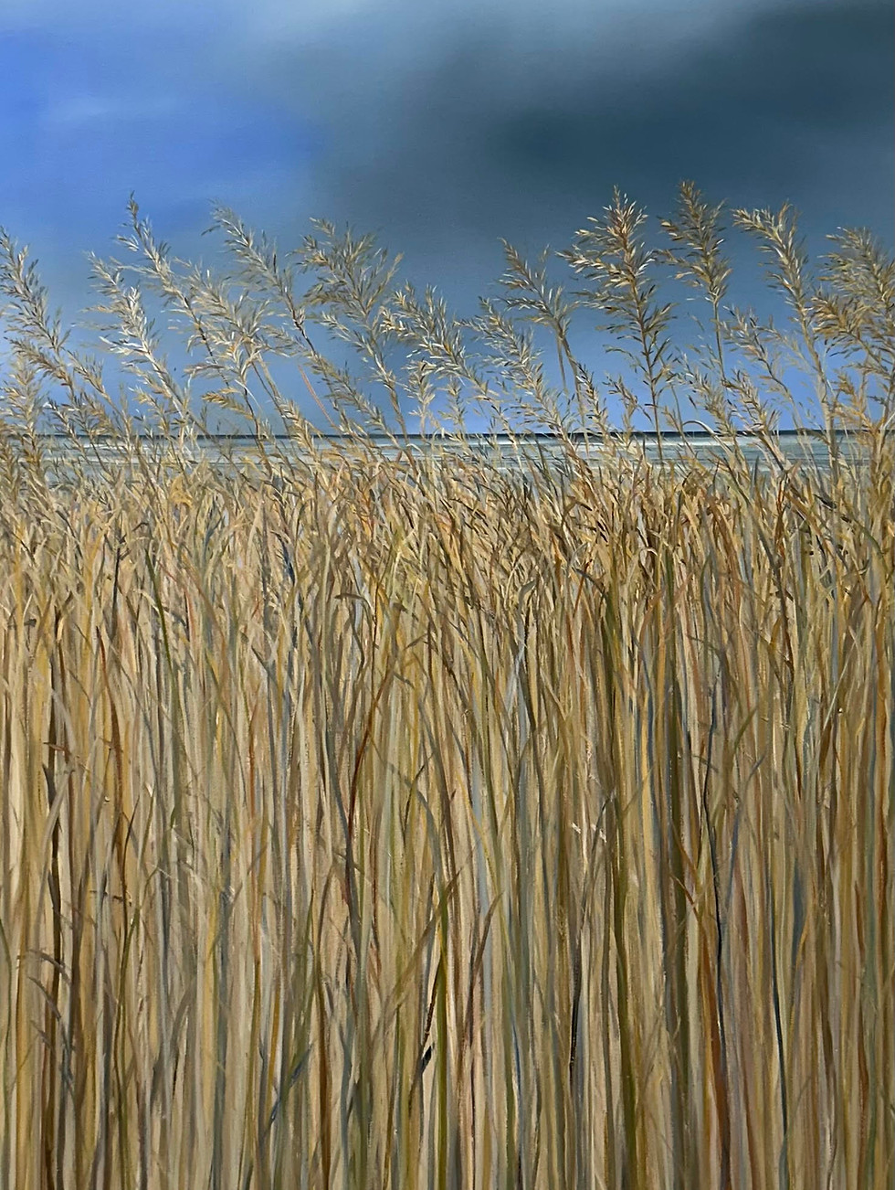 70x160cm.jpg