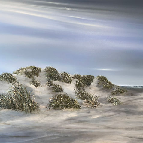 klitterne på fanø ved rindby strand