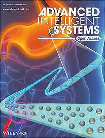 Cover17.png