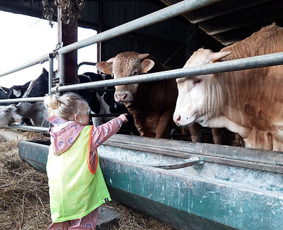 SORTIES EXTERIEURES - 2.jpeg