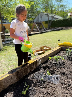 A child waters a plant in the Courtyard of the Museum