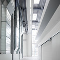 CF005306 rgb_ret.JPG