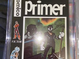 Does it Pay to Grade Your Comic Books?