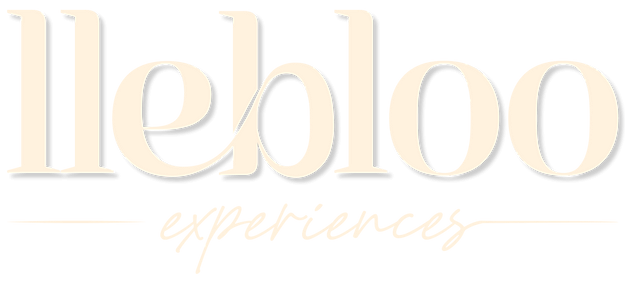 logo_s_video_Mesa de trabajo 1 copia 2.webp