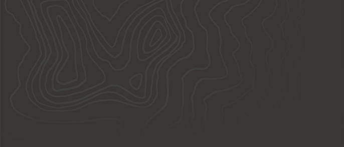 Topo Illustration Dark.jpg