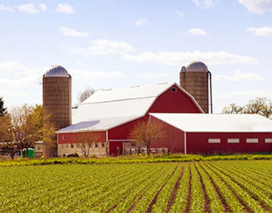 Virginia Farm Life