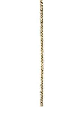 Corda_edited.png