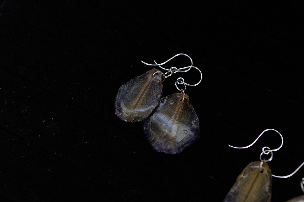Thumbnail: Real Dried Bearded Orchid and Resin Dangle Earrings