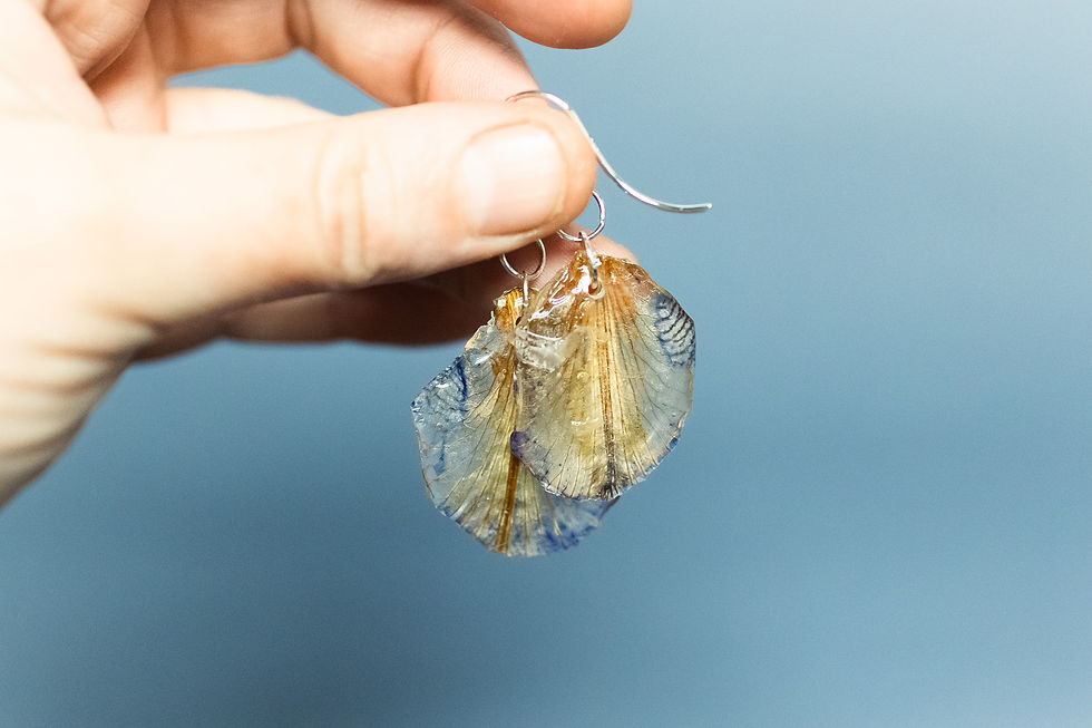Thumbnail: Real Dried Bearded Orchid and Resin Dangle Earrings