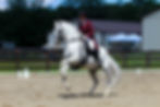 A skilled equestrian guides a white horse through a dressage routine, showcasing elegance and precision at an outdoor arena competition.