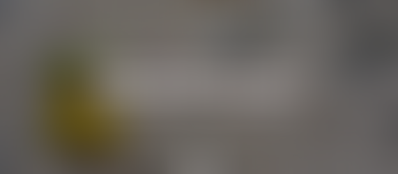 Strengthened by Grace: A Missionary’s Call to Persevere