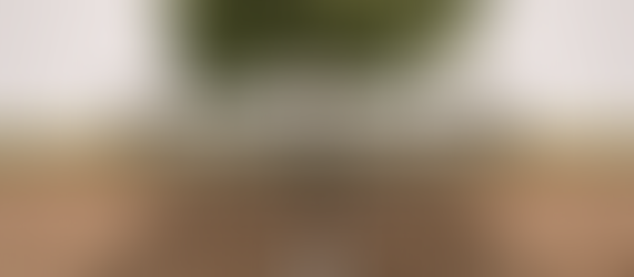 Education that Runs Deep