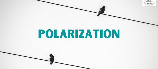 Polarization