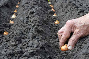 Sowing - a church planting basic