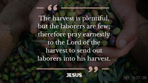 Commanded To Pray For Laborers To Be Sent