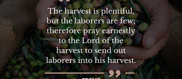 Commanded To Pray For Laborers To Be Sent