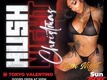Hush Night Christmas!