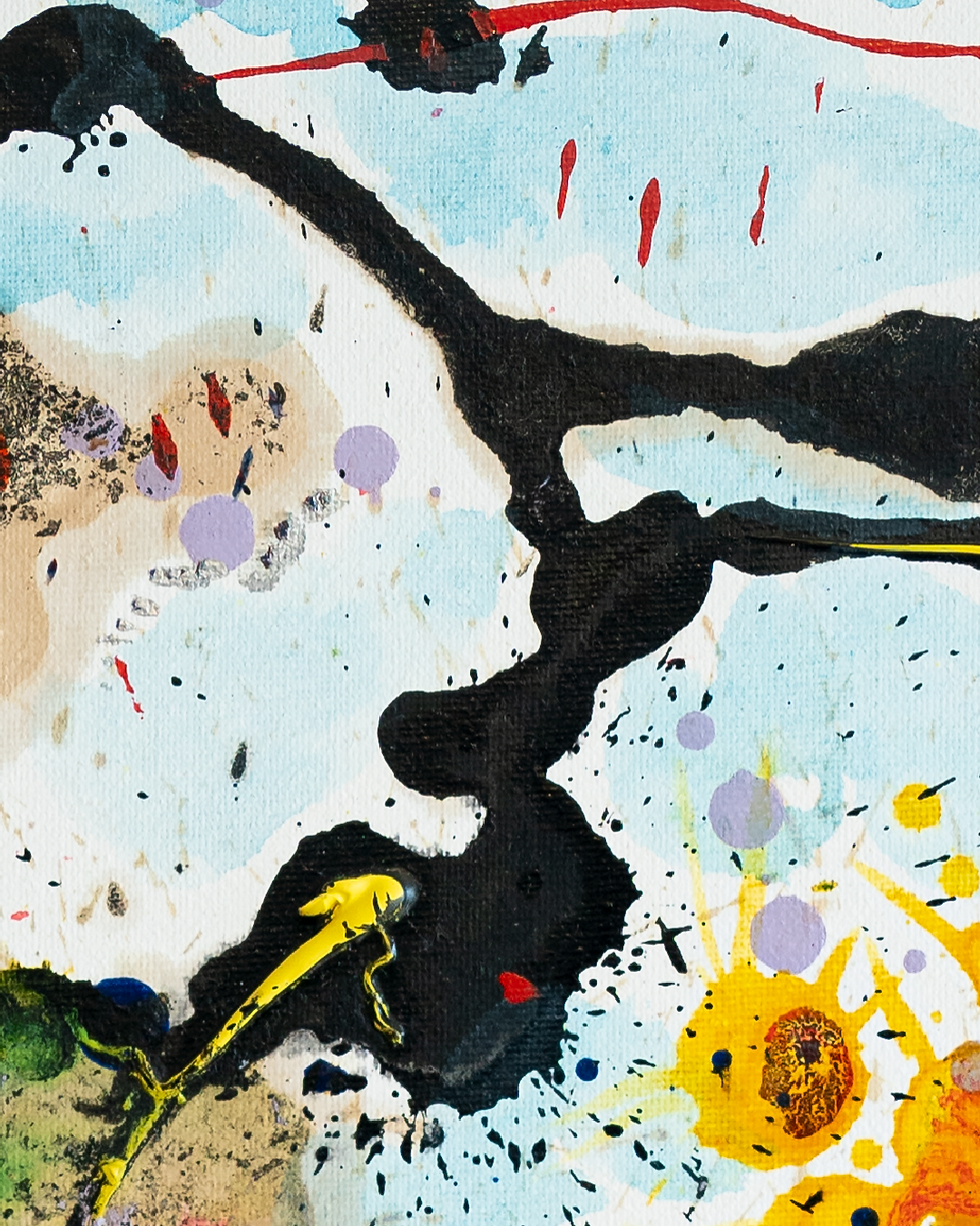 Miniatura: MIRANDO AL CIELO