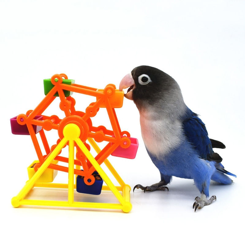 Colorful Parrot Foraging Toy for Intelligence Growth