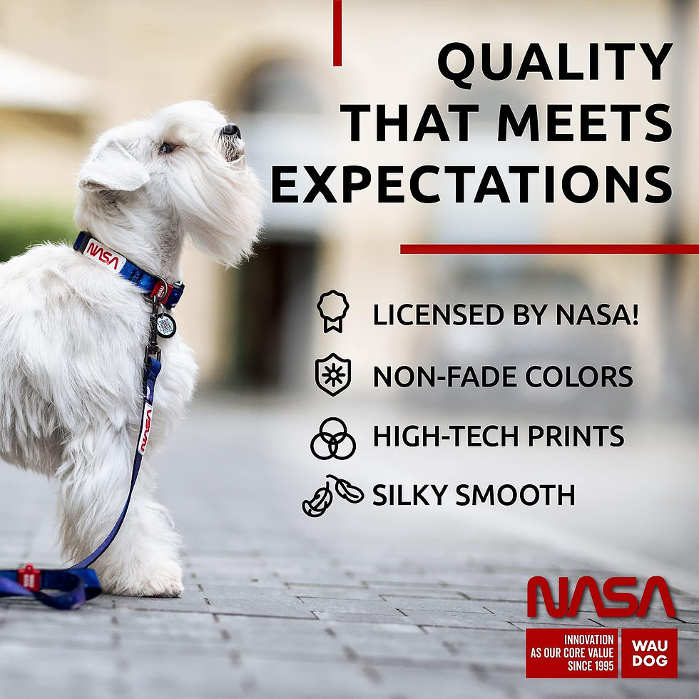 Thumbnail: Nylon Dog Collar Adjustable for Small Medium Dogs 916 in Neck x 4/5 in NASA